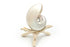 Premium White Pearled Nautilus Shell